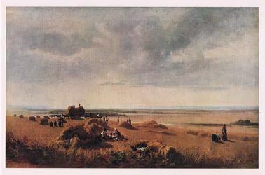 The Cornfield